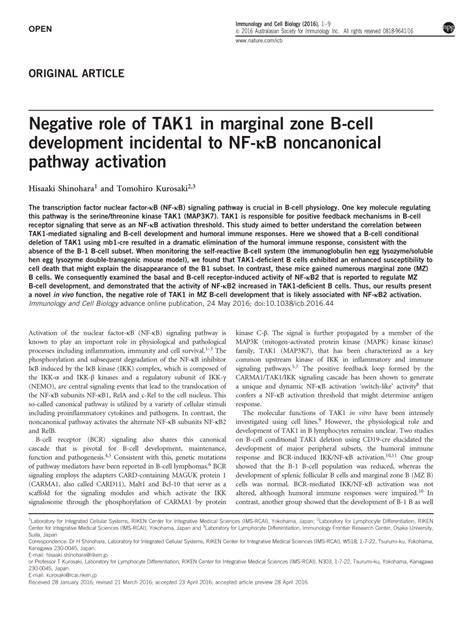 (PDF) Negative role of TAK1 in marginal zone B-cell development ...