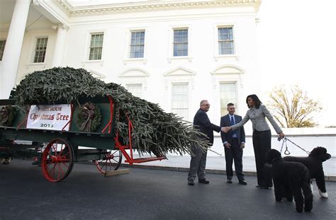 White House Christmas tree arrives