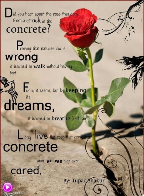 Rose That Grew From Concretequote 2pac Poems 2pac Quotes Life