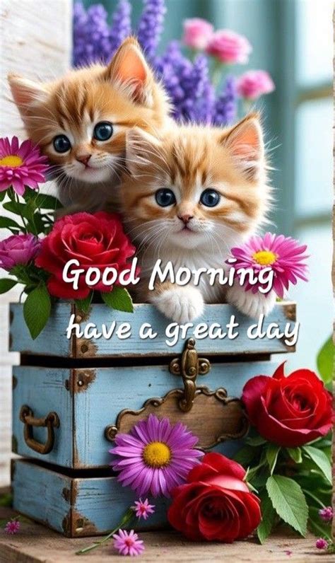Pin By Joyce Craig Ebersole On Sunshine In 2024 Good Morning Animals