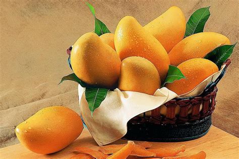 Alphonso Mango Puree Emperor Foodex Limited