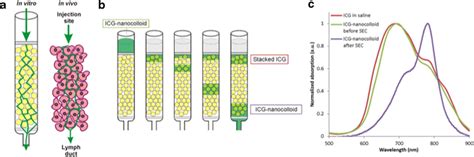 Schematic Overview Of The Size Exclusion Chromatography Experiments