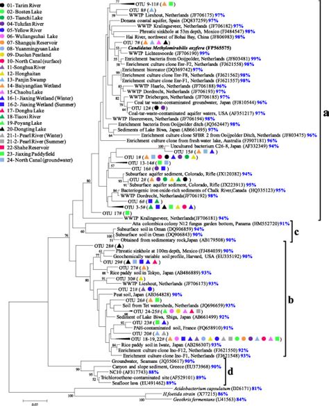 Phylogenetic Tree Showing The Affiliation And Distribution Of 16s Rrna