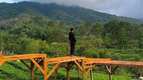 3 Rekomedasi Tempat Wisata Di Puncak Bogor Yang Murah Harga Tiket