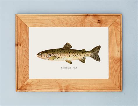 Printable Freshwater Fish Art Prints, Set of 4, Fishing Wall Art, Living Room Décor, Fish ...