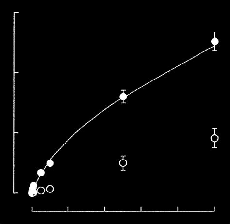 Concentration Dependence Of Pyruvate Uptake By Carp Red Blood Cells In