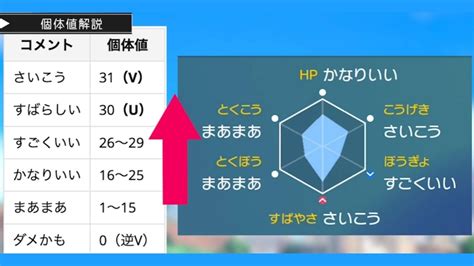 【ポケモンsv攻略】初心者でも簡単育成！努力値と個体値を上げる方法【銀の王冠】 イギーとポル 福岡グルメ