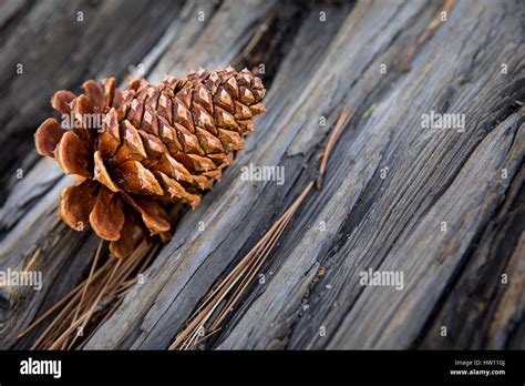 Cone Rock Hi Res Stock Photography And Images Alamy