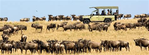 South African Safari Tours - East Africa Tour Packages - Safari.co.za