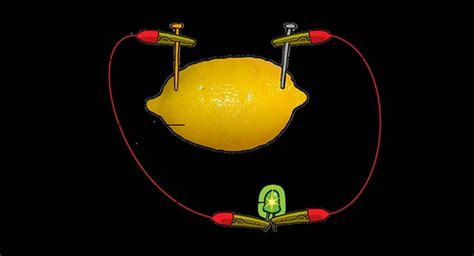 Lemon Cellset Up Illustration Used In Gr 7 9 Natural Scie Flickr