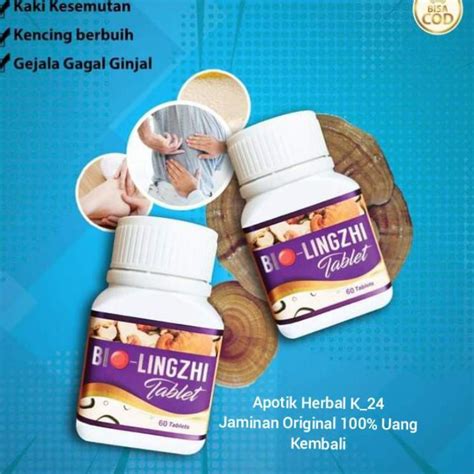 Jual Bio Lingzhi Asli Original Ginjal Dan Hati 100 3J5 Shopee Indonesia