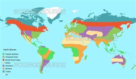 Earth's Biomes, Map | Stock Image - Science Source Images