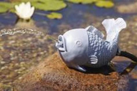 Fish Water Spout