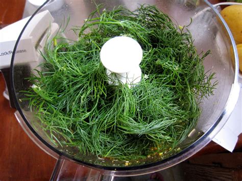 Simply Piee: I LOVE all Parts of Fennel [Fennel Frond Pesto Recipe]