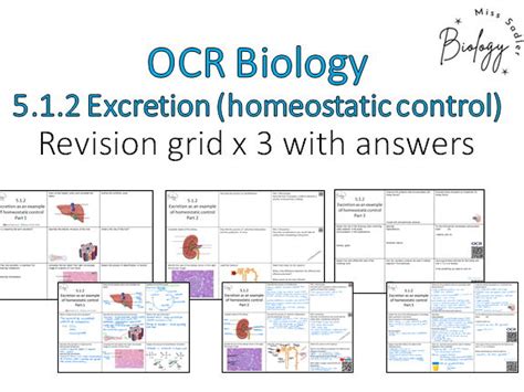 Excretion Homeostatic Control Revision Grid Ocr A Level Biology