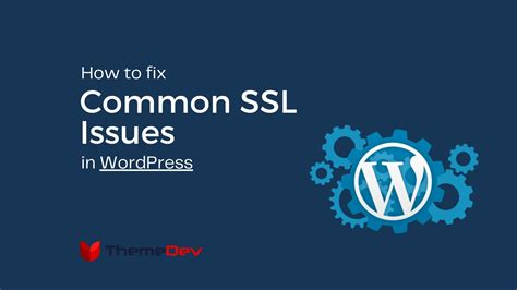 How To Solve Common Wordpress Ssl Issues Themedev