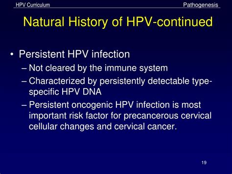 Ppt Genital Human Papillomavirus Hpv Powerpoint Presentation Free Download Id1458176