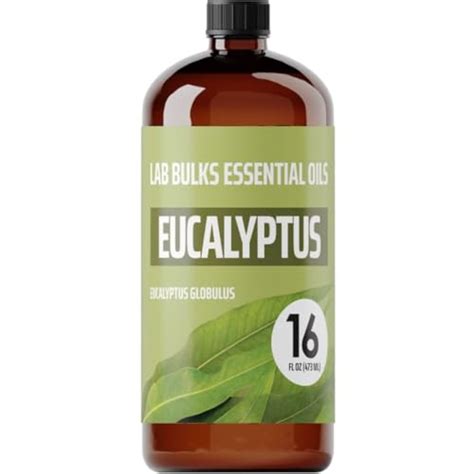 I Tested Oil of Eucalyptus Spray and Here's Why It's My New Go-To for Natural Relief!