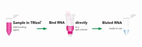 Optimizing RNA Extraction from Cells and Tissues with TRIzol®