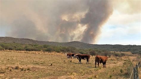 Declaran Emergencia Y Desastre Agropecuario Por Incendios En Parte De