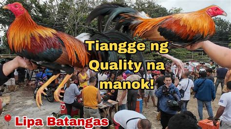 Episode Bentahan Ng Manok Sa Lipa Batangas Youtube