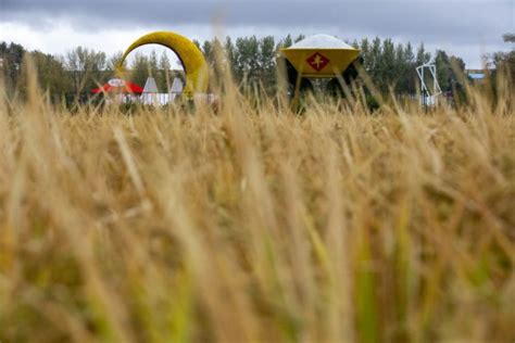 China S Largest Grain Producing Province Sees Bumper Harvest This Year