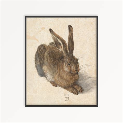 Hare Print Vintage Rabbit Print Rabbit Print Digital Etsy