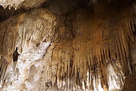 Lake Shasta Caverns Tour - Redding, CA - Happiness is Homemade