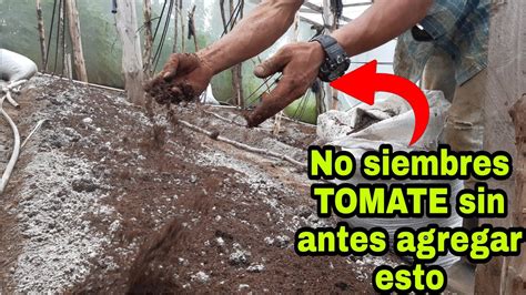 Consejos Para Preparar El Suelo Antes De Plantar Tomates Beatriz Arroyo