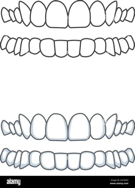 Smile Teeth Vector