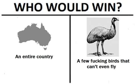 Emu war : r/dankmemes