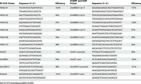 Primers Used For Quantitative Real Time Pcr Chart Pcr And Chip Download Table