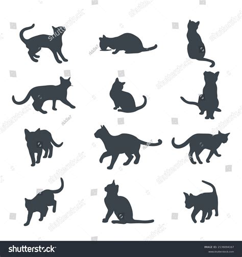 Cats Different Poses Vector Silhouette Stock Stock Vector Royalty Free 2139094167 Shutterstock