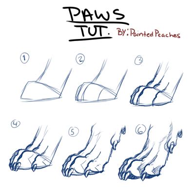 Paw tutorial by PaintedPeaches on DeviantArt | Paw drawing, Concept art ...