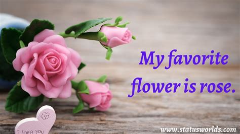 Caption For Flower Status At Marcia Rosales Blog