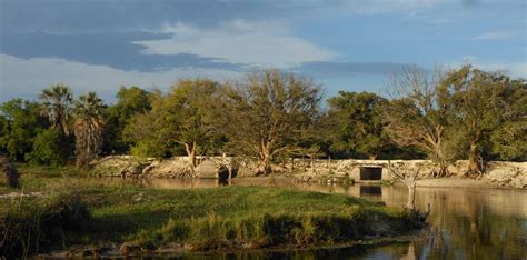 maun  botswana experience