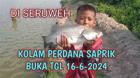 Kolam Perdana Saprik Minggu Ini Tgl 16 Juni 2024 Di Seruweh YouTube