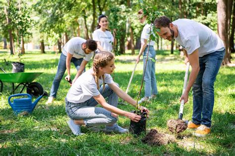 If You Decide To Support A Charity That Plants Trees Its Important To