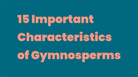 Important Characteristics Of Gymnosperms Write A Topic