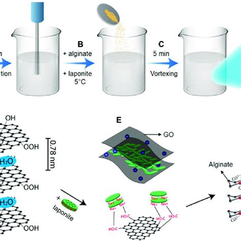 Schematic Of The Fabrication Process Of The Alginate Laponite Graphene