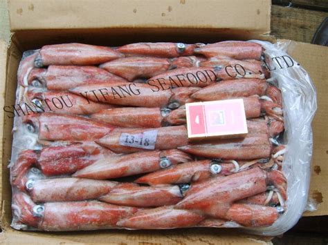 Frozen Squid Meat China Price Supplier 21food