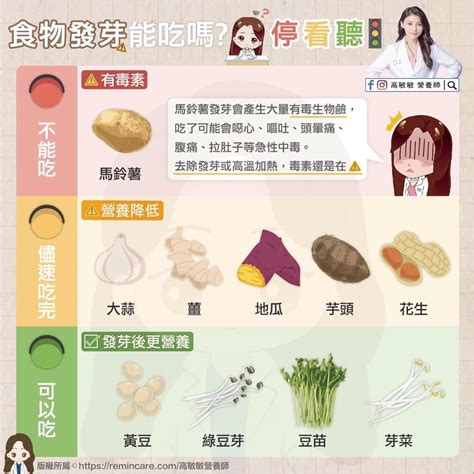 馬鈴薯發芽能吃嗎？營養師1張圖揭密「10食材」：這4樣長芽更營養！｜四季線上4gtv