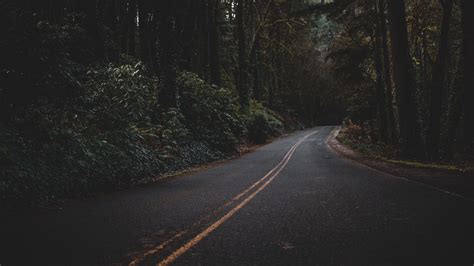 Dark Forest Road Wallpaper