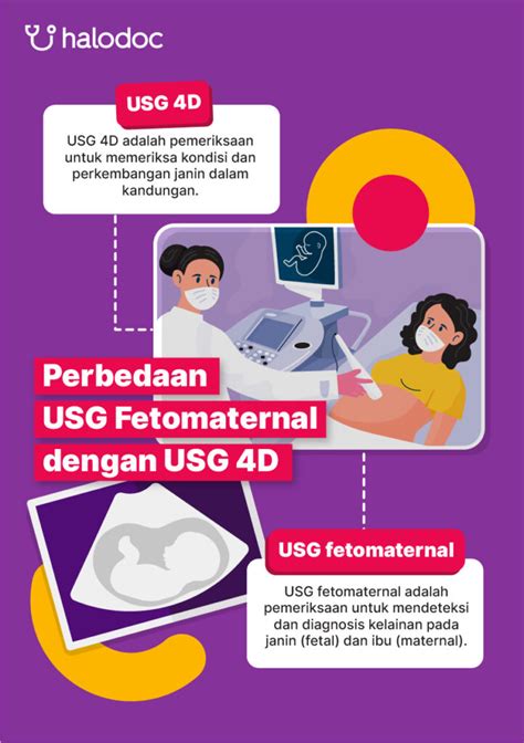 Ibu Ini Perbedaan Usg Fetomaternal Dengan Usg 4d