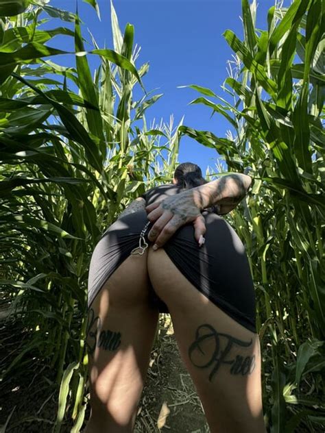 MARAVILHAS IMG 20231112 203240 682 Porn Pic