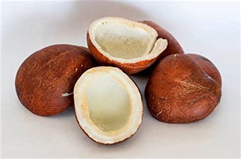 Dry Coconut Sookha Naariyal Endu Kobbari Dry Land