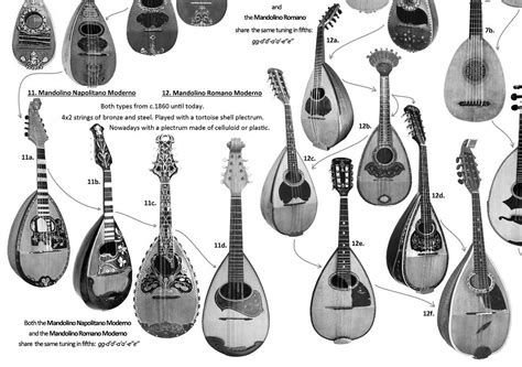 The Italian Mandolin: Its Evolution, Nomenclature and Types – A Great Poster by Alex Timmerman ...