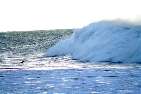 Bells Beach - Rincon Surf Photo by Xray | 7:38 am 24 Mar 2012