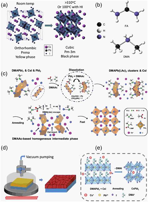 Dimethylammonium Cation Stabilizes All Inorganic Perovskite Solar Cells