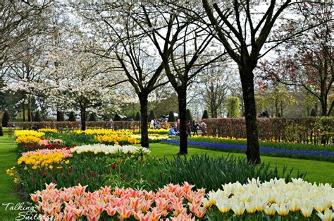 Keukenhof Gardens Exploring Keukenhof Tulip Gardens